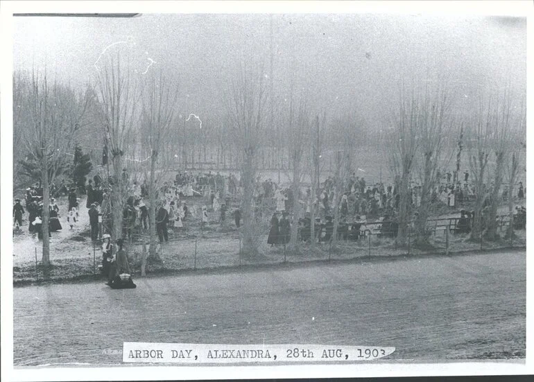 Image: Arbor Day, Alexandra, 28th Aug 1903