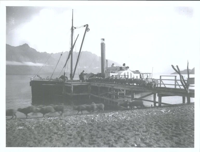 Image: "Antrim" discharging sheep beside Lake Wakatipu