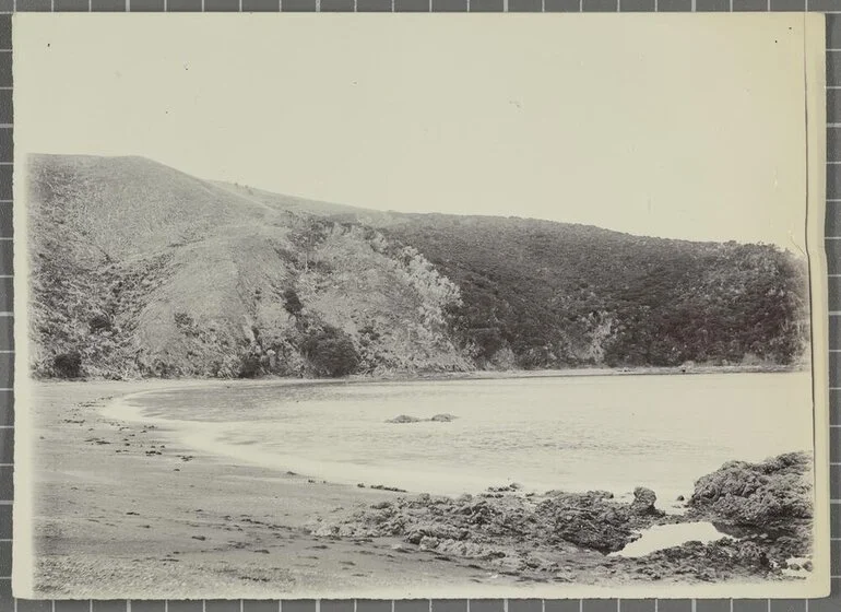 Image: Oihi, Bay of Islands