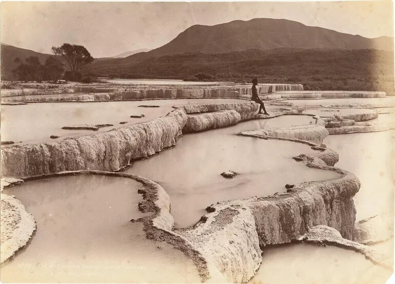 Image: The Hot Water Basins, White Terraces