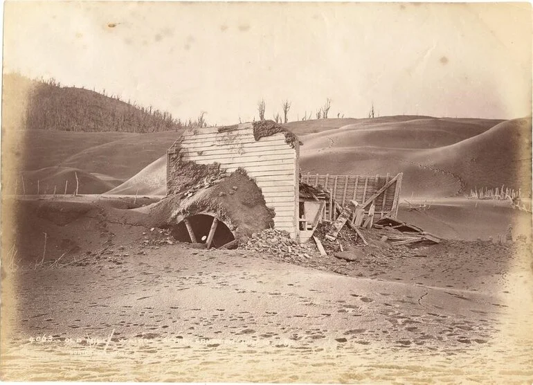 Image: Old Mill, Wairoa, After Eruption June 10 1886