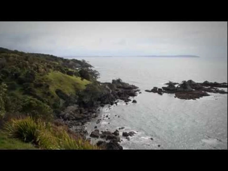 Image: Creating a sanctuary: Tiritiri Matangi - Roadside Stories