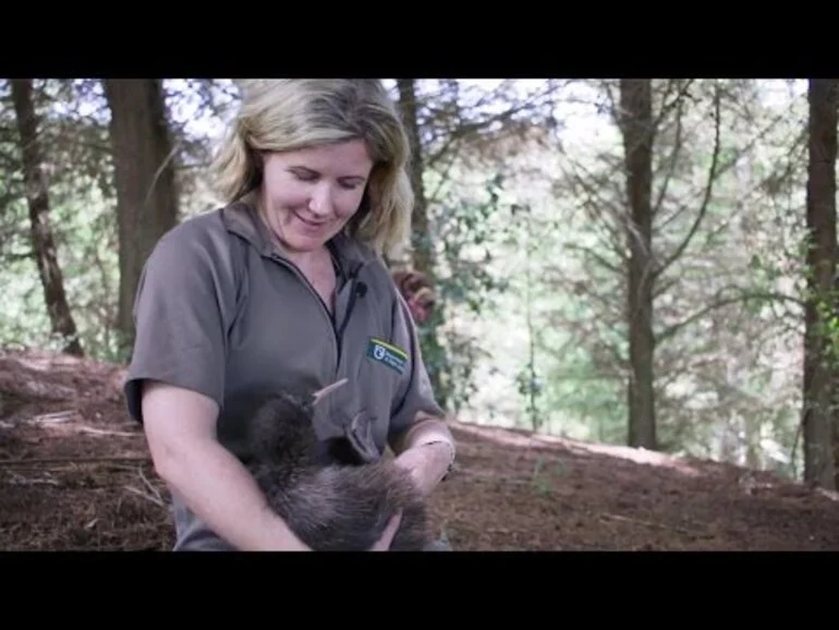 Image: Working with Wairakei Golf + Sanctuary