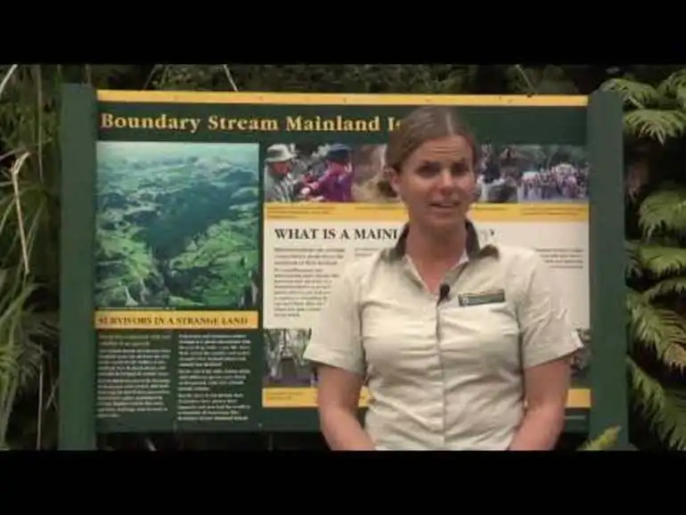 Image: Meet the Locals: Boundary Stream