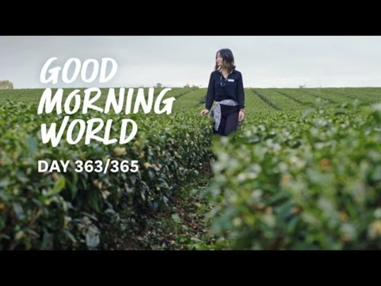 Image: Good Morning World | Day 363 of 365