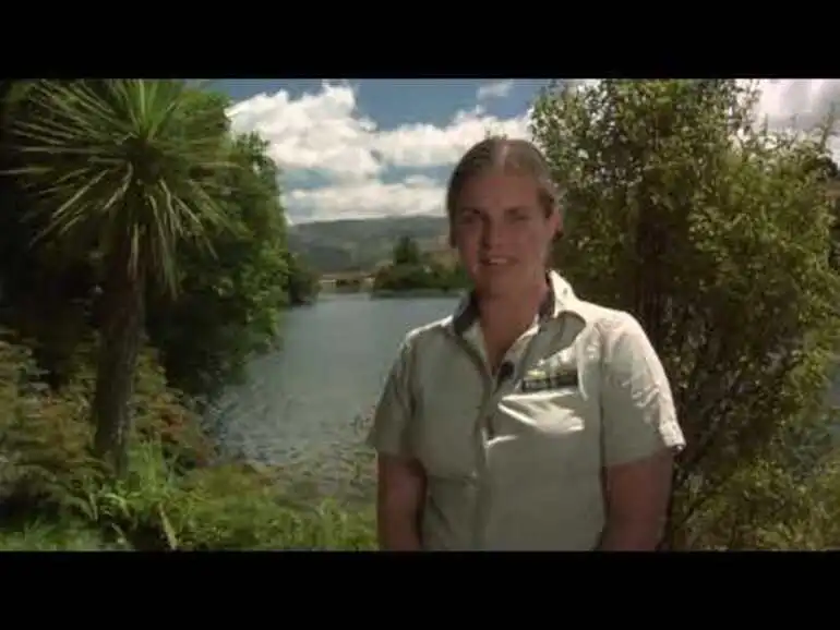Image: Meet the Locals: Kiwi crèche