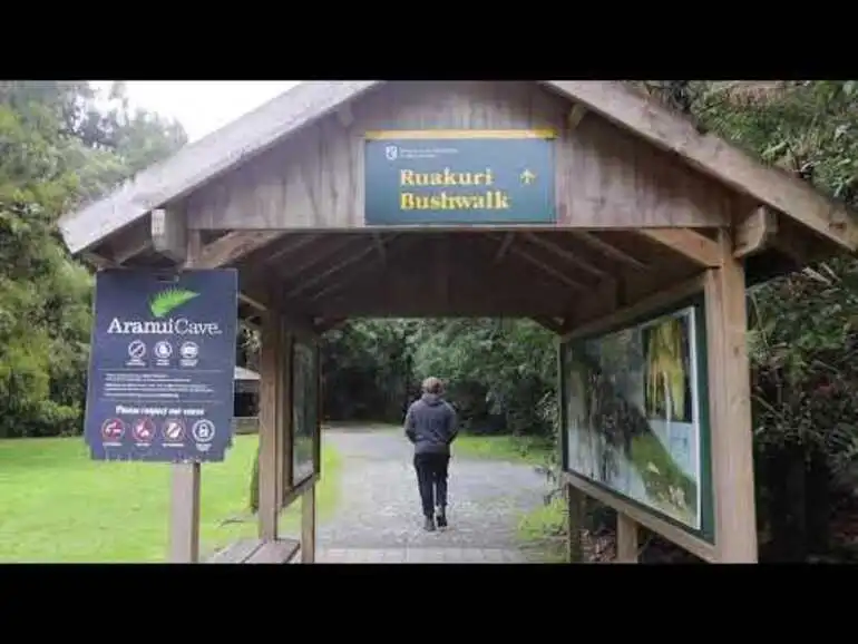 Image: Raukuri Nature Walk