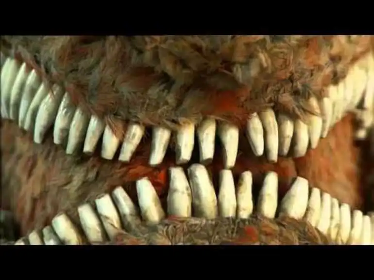 Image: The Feathered Face of War - Tales from Te Papa episode 51