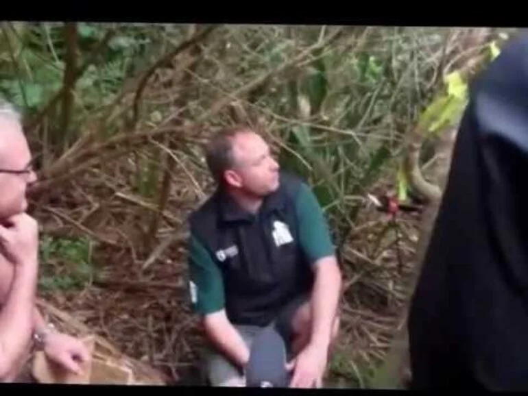 Image: Kiwis for Kiwi release on Motutapu Island
