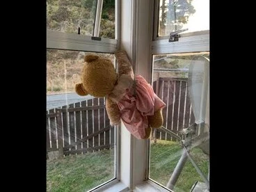 Image: Covid-19 lockdown: Look out for bears in windows as you walk