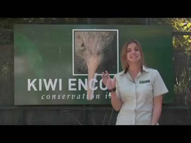 Image: Meet the Locals: Operation nest egg