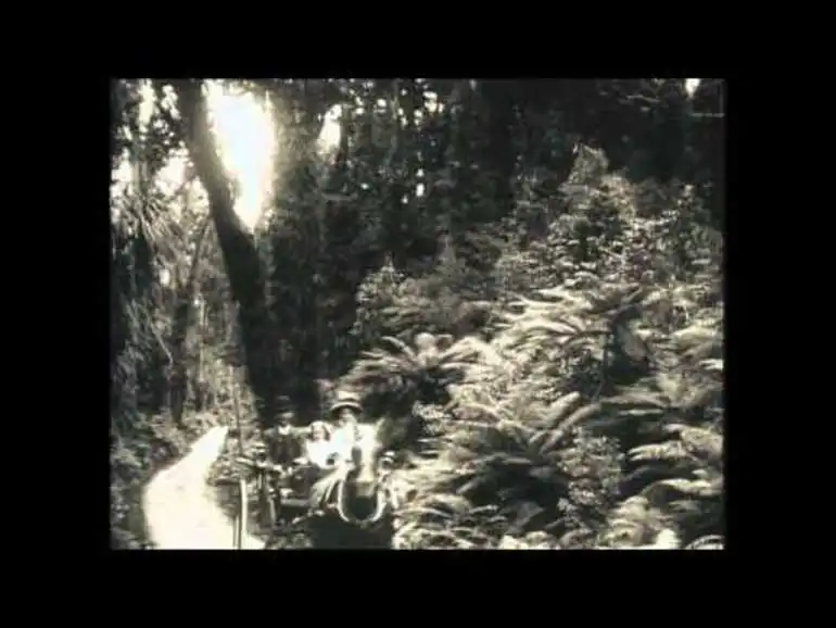 Image: Moments in Time - Pelorus Jack