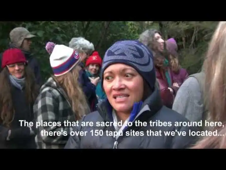 Image: Community Protest: Protect Karangahake from Mining