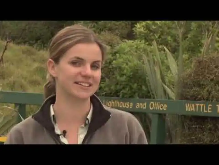 Image: Meet the Locals: Tiritiri Matangi