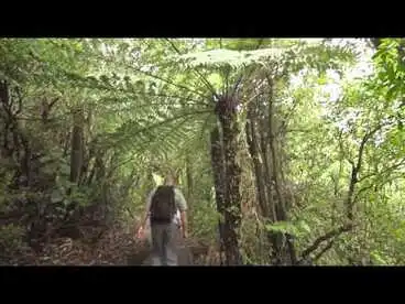 Image: Te Āpiti Manawatū Gorge - Kiwi Ranger