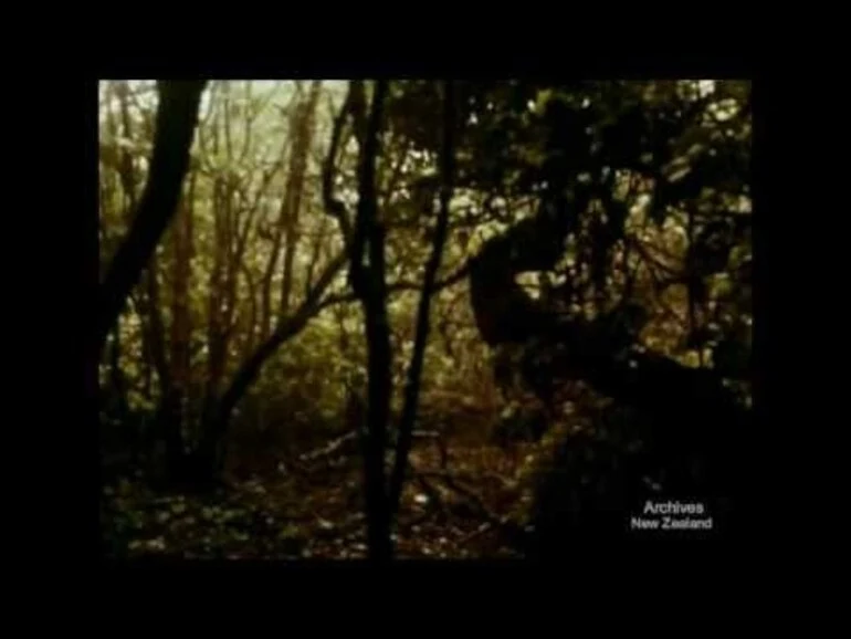 Image: Primeval Survivors (1981)