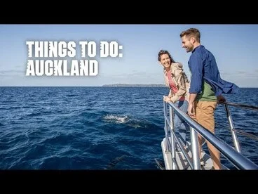 Image: Auckland – Dolphins to Fine Dining