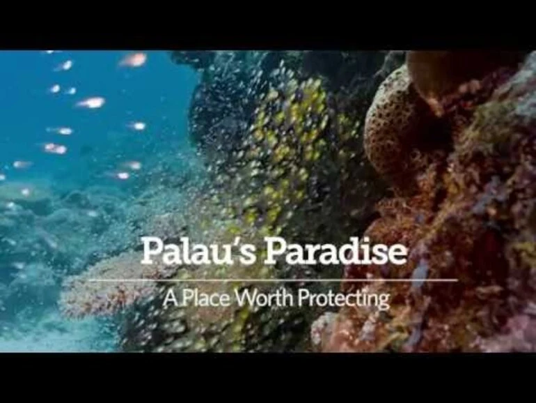 Image: Palau's Paradise; Ocean Wonders Worth Protecting