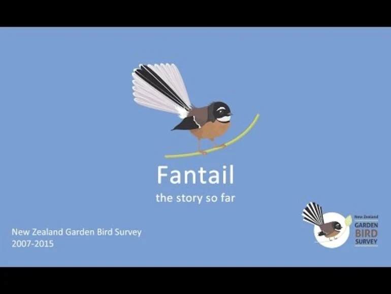 Image: Fantail: the story so far. New Zealand Garden Bird Survey 2007 - 2015