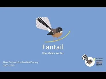 Fantail: the story so far. New Zealand Garden Bird Survey 2007 - 2015 Image: Fantail: the story so far. New Zealand Garden Bird Survey 2007 - 2015