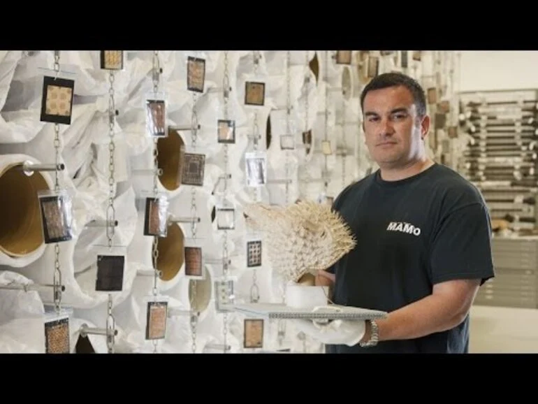 Image: Puffer Fish Helmet - Tales from Te Papa episode 8