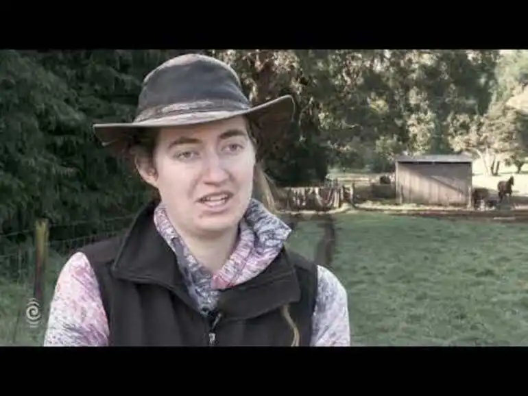 Image: The Upper Hutt teen saving Kaimanawa horses