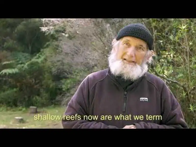 Image: Marine biologist Roger Grace on ecological loss in Hauraki Gulf