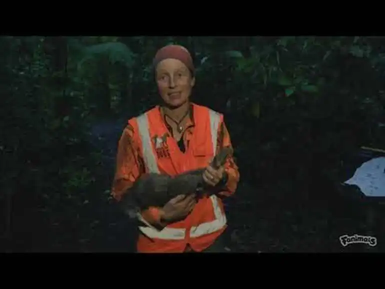 Image: Paws on Patrol — Tash and Bella