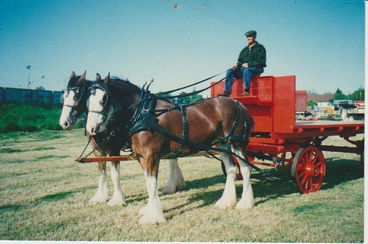 Image: A J Martin and his Clydesdales