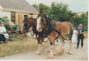 Image: Paul Halverson and his two Clydesdale horses.