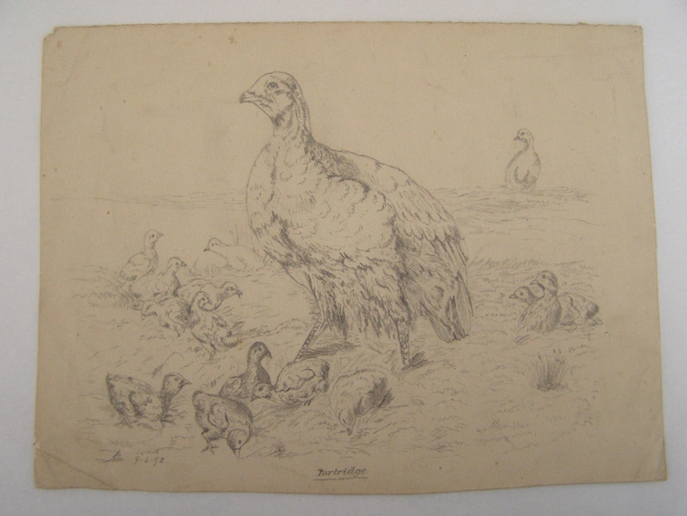 Image: 'Partridge'