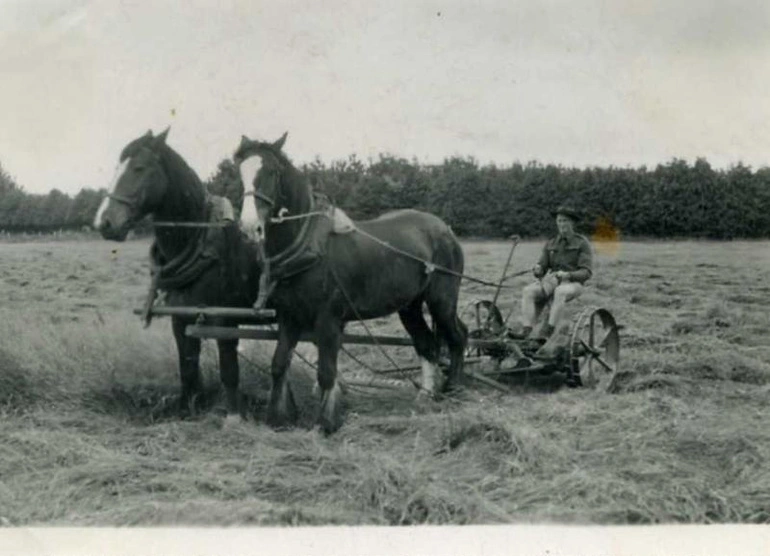 Image: Photograph of Mowing of Hay
