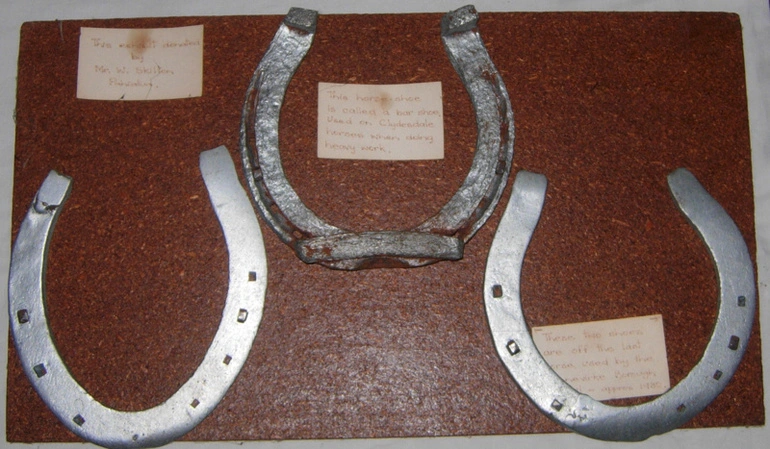 Image: Horseshoe Exhibit