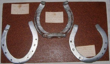 Horseshoe Exhibit Image: Horseshoe Exhibit