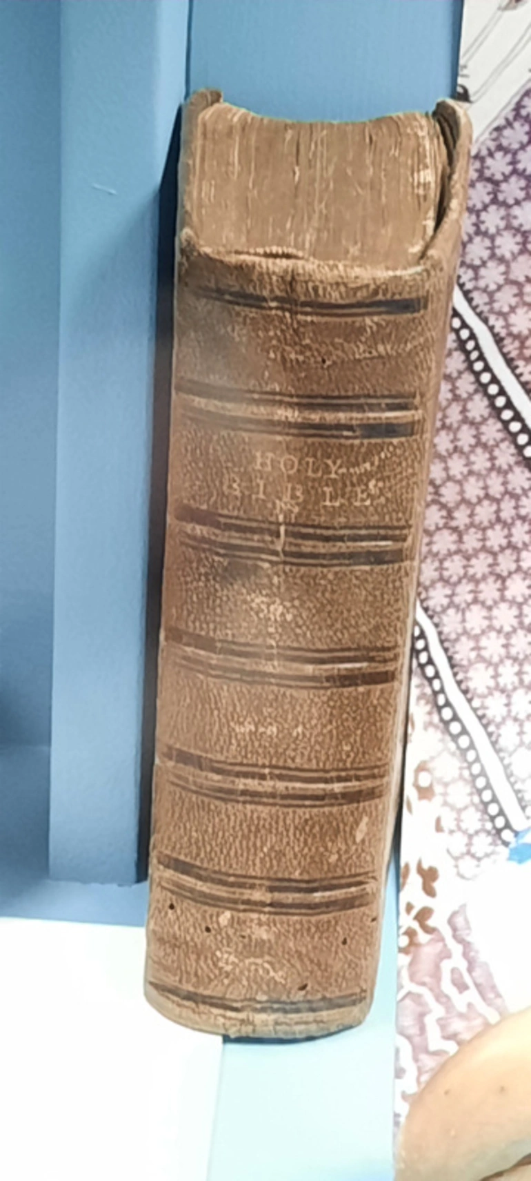 Image: Family Bible Belonging to Emily White - 1873 Voyage