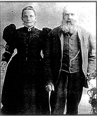 Woolford Family- Research Information- 1875 Passengers Image: Woolford Family- Research Information- 1875 Passengers