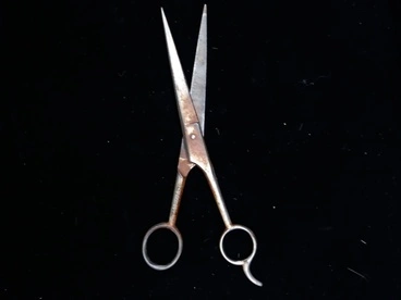 Scissors Image: Scissors