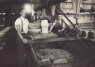 Image: Photograph, 10 of 19, Mataura Dairy Factory Album [Cheese Making, cutting curd blocks]