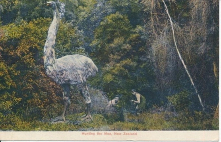 Image: Postcard: Hunting the Moa, Hunting the Moa New Zealand
