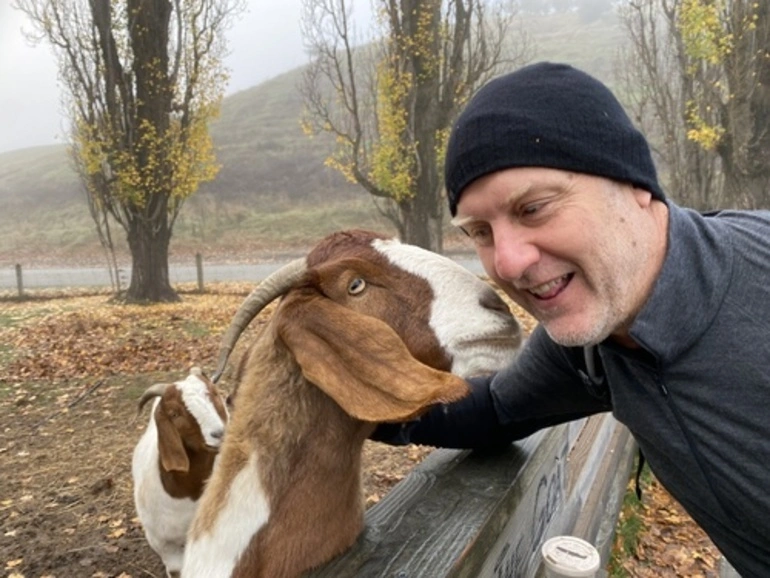 Image: Domestic Goat