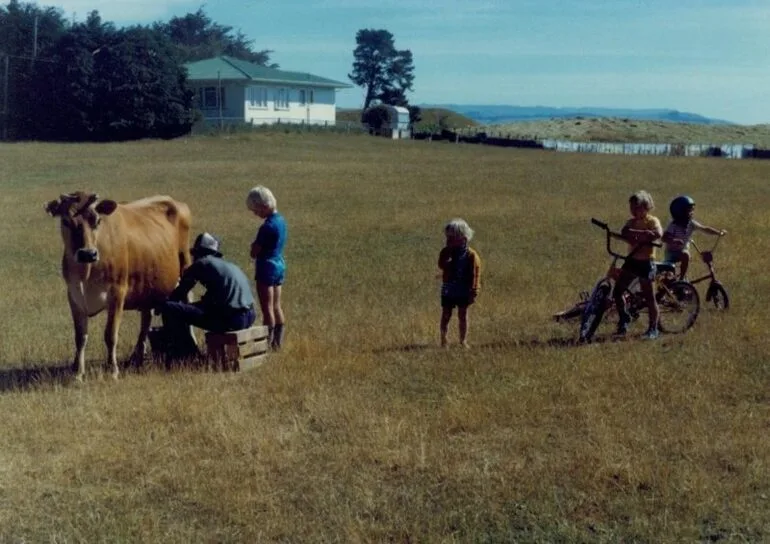 Image: Dairy Cow 1983