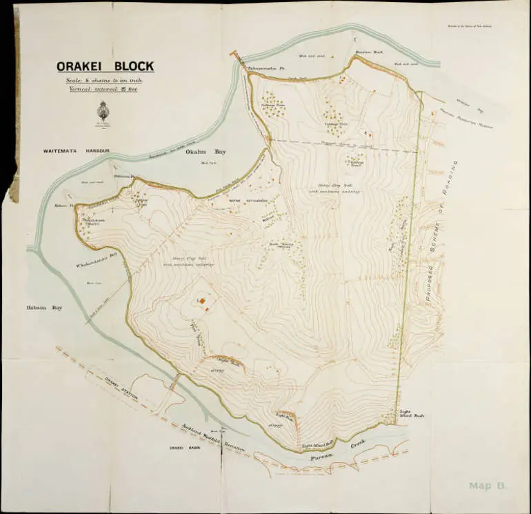 Image: Orakei block