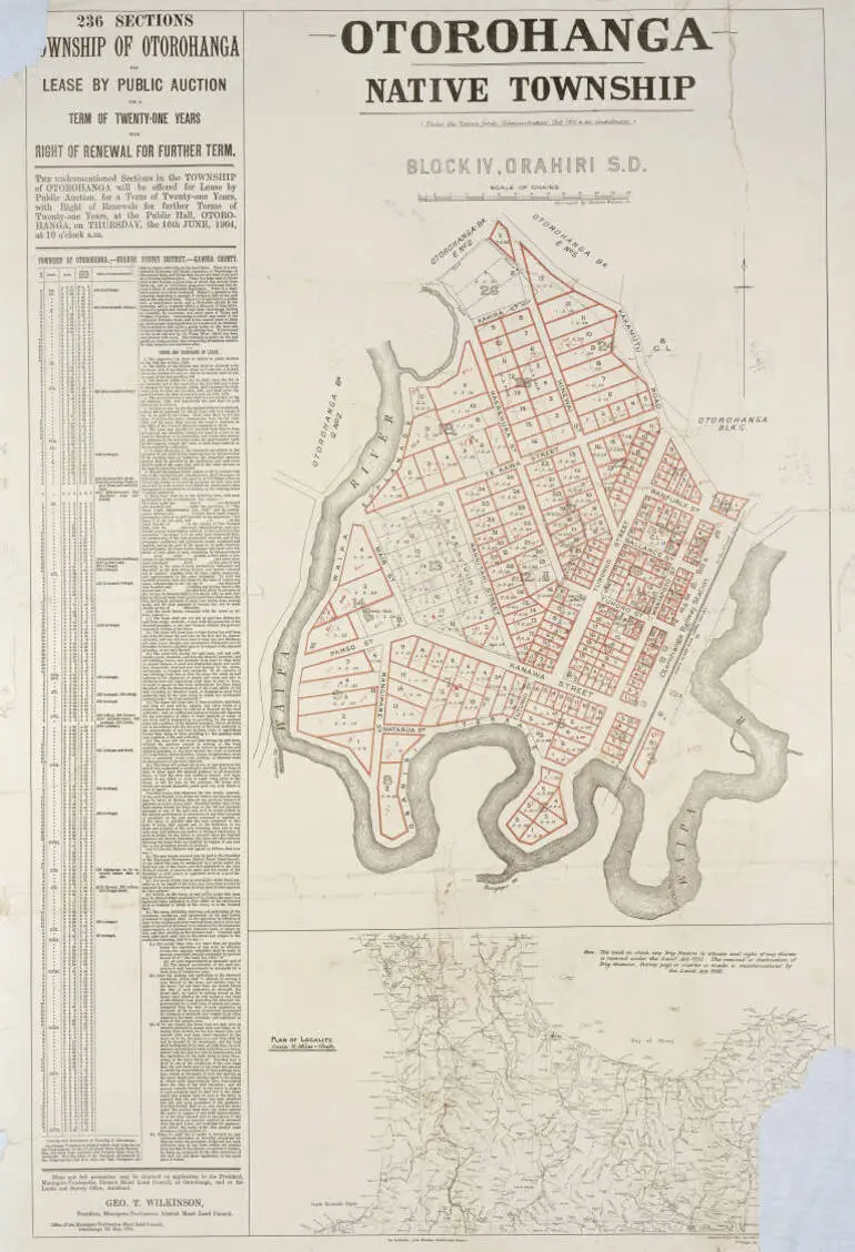 Image: Otorohanga native township