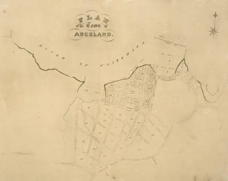 Image: Plan of the town of Auckland