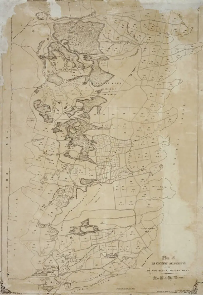 Image: Plan of 115 country allotments in the Waipipi Block, Waiuku West for sale by auction.