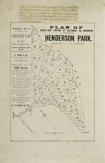 Image: Plan of North-East portion of allotment 90, Henderson. Henderson Park