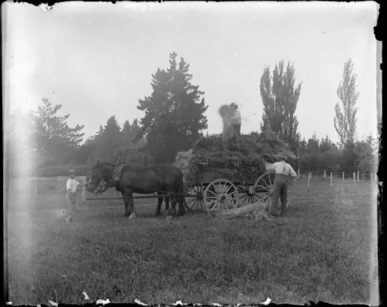 Image: Farrer family haymaking at Bankwood, Hamilton, 1905