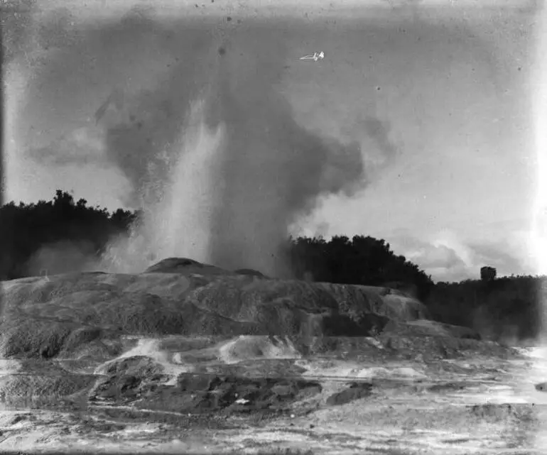Image: Pohutu Geyser at Whakarewarewa, 1909