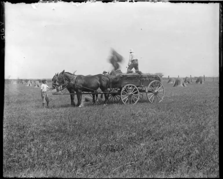 Image: Farrer family haymaking at Bankwood, Hamilton, 1905