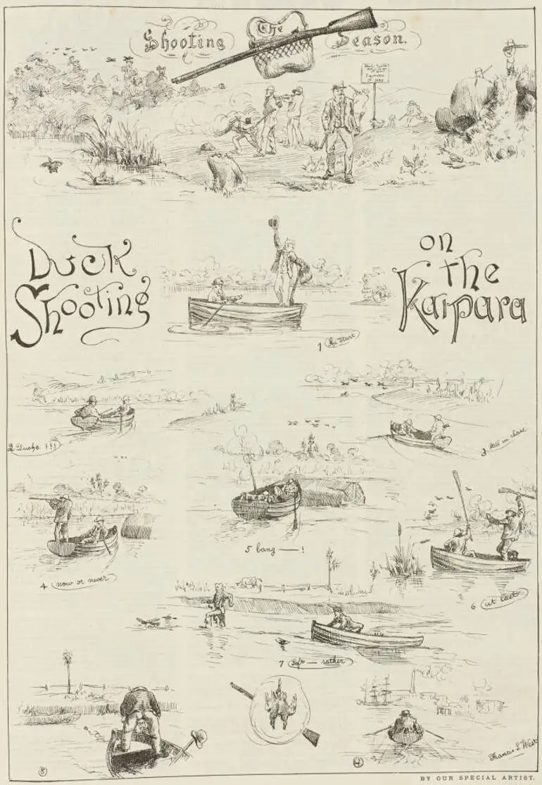Image: Duck shooting on the Kaipara